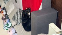 Vorschaubild 3