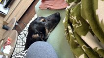 Vorschaubild 2