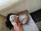 Vorschaubild 3