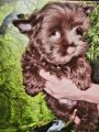 Vorschaubild 8