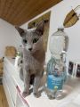 Vorschaubild 5