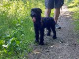 Vorschaubild 3