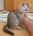 Vorschaubild 7