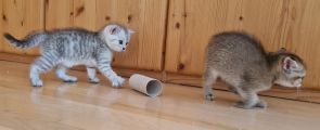 Vorschaubild 5