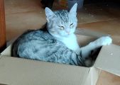 Vorschaubild 3