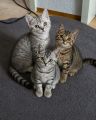 Vorschaubild 10