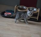 Vorschaubild 5