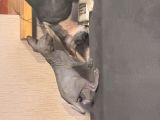 Vorschaubild 7