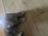 Vorschaubild 5