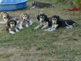 Vorschaubild 6