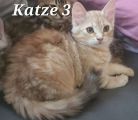 Vorschaubild 6