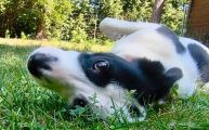 Vorschaubild 4