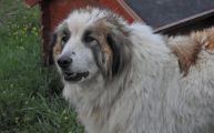 Vorschaubild 6