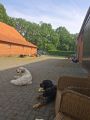 Vorschaubild 4