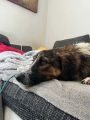Vorschaubild 4