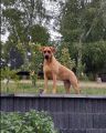 Vorschaubild 7
