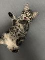 Vorschaubild 9