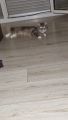 Vorschaubild 1