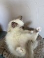 Vorschaubild 6