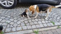 Vorschaubild 9