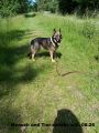 Vorschaubild 5