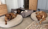 Vorschaubild 4