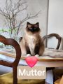 Vorschaubild 7