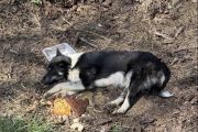 Vorschaubild 9