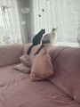 Vorschaubild 3