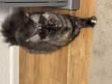 Vorschaubild 4