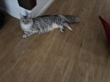 Vorschaubild 2