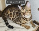 Vorschaubild 9