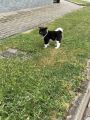 Vorschaubild 5