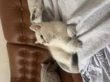 Vorschaubild 9