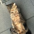 Vorschaubild 7