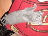 Vorschaubild 5