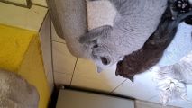 Vorschaubild 7