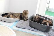 Vorschaubild 9