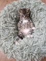 Vorschaubild 6