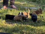 Vorschaubild 7