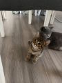 Vorschaubild 6