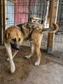 Vorschaubild 4