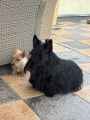 Vorschaubild 3