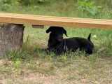Vorschaubild 6