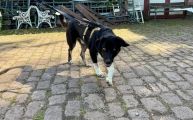 Vorschaubild 4
