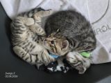 Vorschaubild 5