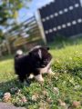 Vorschaubild 6