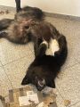 Vorschaubild 9