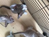Vorschaubild 4