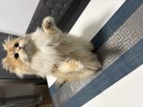 Vorschaubild 5